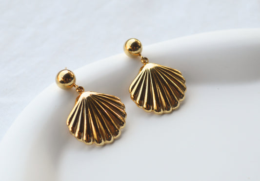 Shell earrings